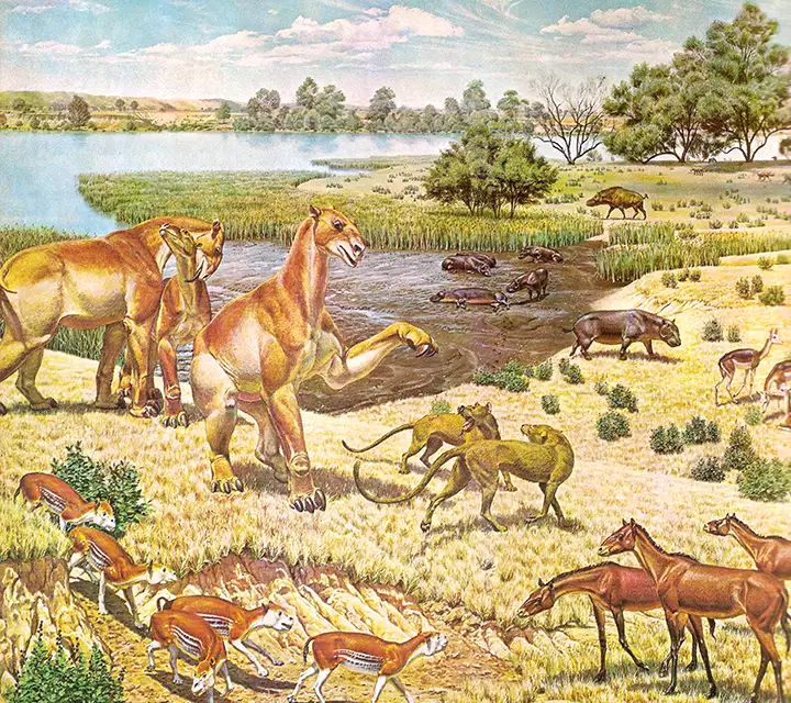 Image of mammals during the Miocene Epoch of the Cenozoic Era