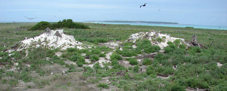 Midway Atoll National Wildlife Refuge: A view on East Isalnd A view on East island at Midway Atoll