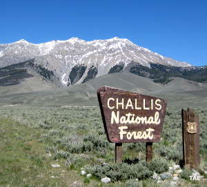 In the Lost River Mountains of Salmon-Challis National Forest