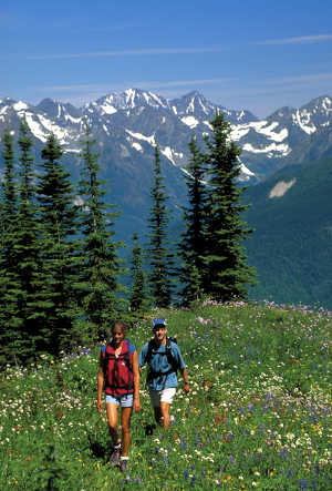 Hikers in the Selkirk Mountains