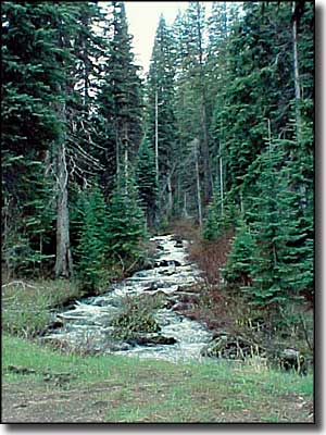 A stream that feeds into the Payette River