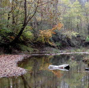 Hutchins Creek, between Bay Creek and Clear Springs Wilderness