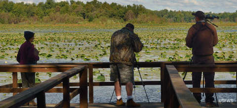 Patoka National Wildlife Refuge: View of birdwatchers at Snakey Point Marsh Bird watching at Snakey Point Marsh