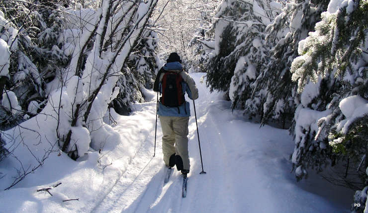 Cross country skier off the Gunflint Trail