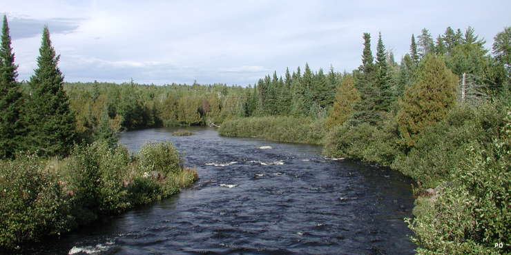 The North Brule River from along the Gunflint Trail National Scenic Byway