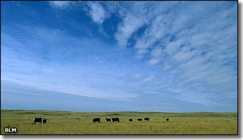 A view along the Big Sky Backcountry Byway Big Sky Backcountry Byway