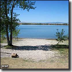 Ackley Lake State Park: A view at the beach The beach at Ackley Lake State Park