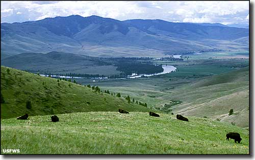 National Bison Range
