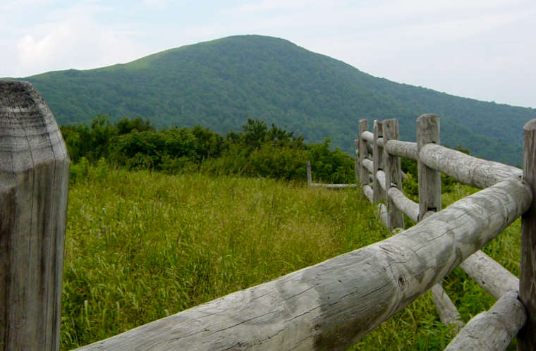 Roan Mountain, high point on the Overmountain Victory National Historic Trail