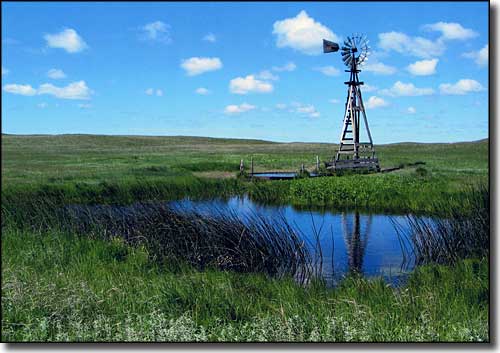 Sandhills Journey Scenic Byway: A view along the byway Typical scene along the Sandhills Journey Scenic Byway