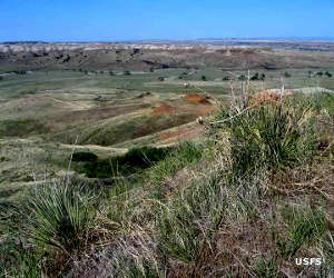 Soldier Creek Wilderness
