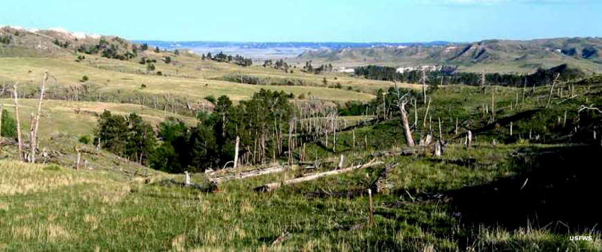 Soldier Creek Wilderness