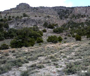 A trail into Government Peak Wilderness