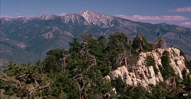 Mt. Stirling Wilderness Study Area, Nevada
