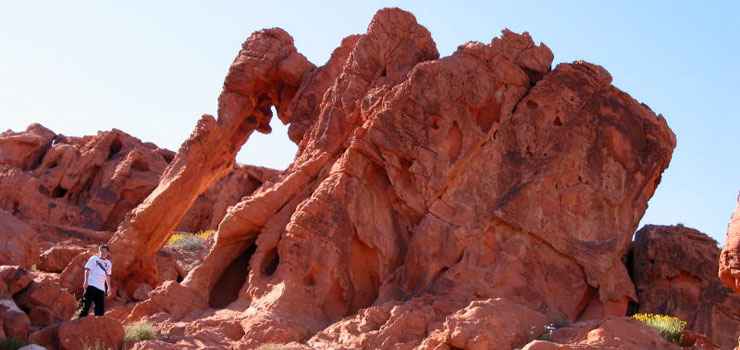 Valley of Fire Scenic Byway: A view of Elephant Rock along the byway Elephant Rock in Valley of Fire State Park
