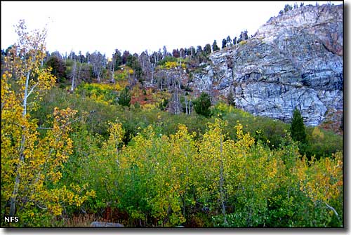 East Humboldt Wilderness in the fall