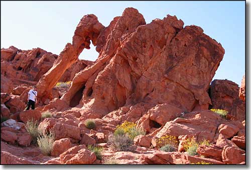 Valley of Fire State Park: A view of Elephant Rock Elephant Rock, Valley of Fire State Park