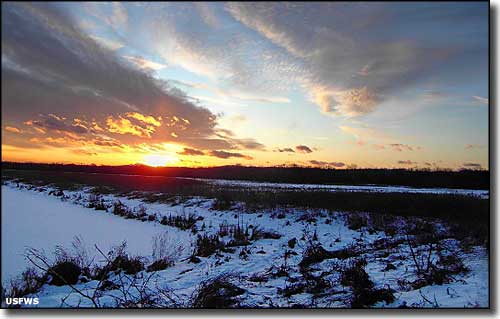 Wallkill River National Wildlife Refuge | New Jersey National Wildlife