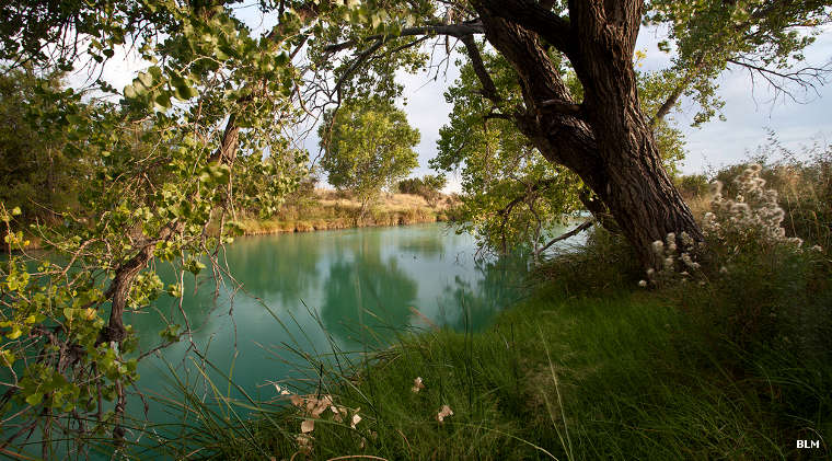 Black River Recreation Area: A view of the river A view of the Black River