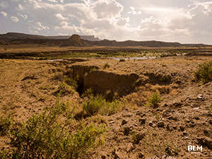Empedrado Wilderness Study Area: A view on the property A view at Empedrado Wilderness Study Area