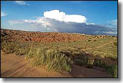 A view at Gordy's Hill Recreation Area Gordy's Hill Recreation Area