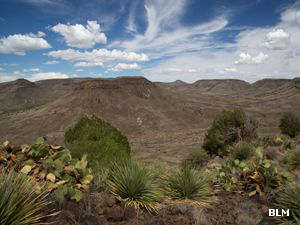 A view in the Las Uvas Mountains