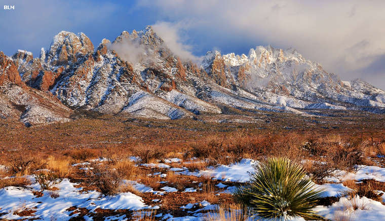 Winter at the Organ Mountains Wilderness Study Area