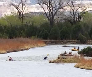 Several folks in canoes and kayaks navigating the Rio Chama Wild and Scenic River