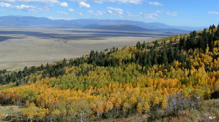 A view across aspens in color from nearby San Antonio Mountain