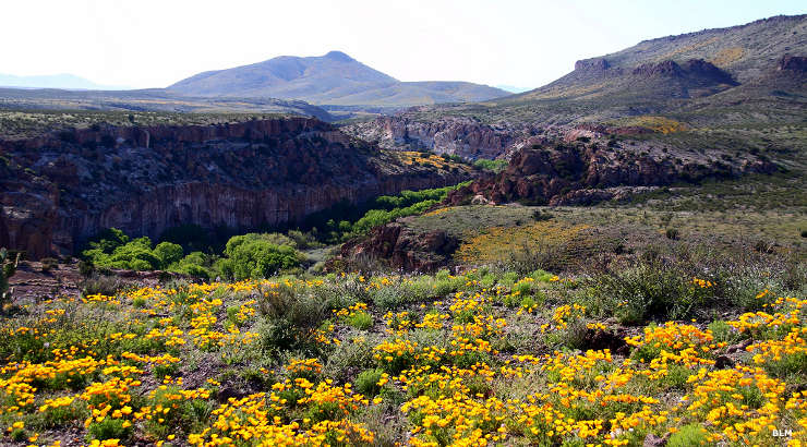 A view in the Gila Lower Box Canyon Recreation Area Gila Lower Box Canyon Recreation Area