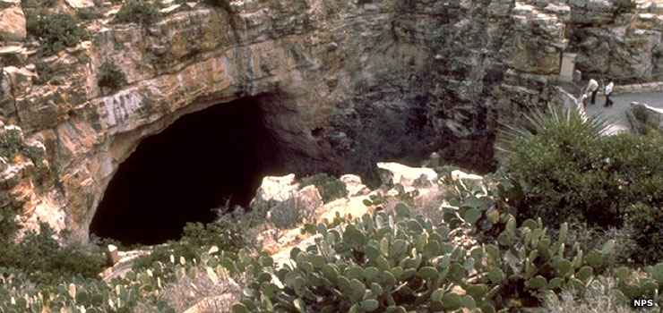 A view at Carlsbad Caverns National Park Carlsbad Caverns National Park