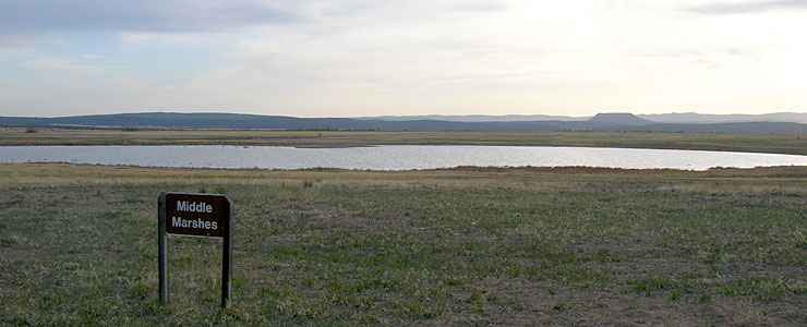Las Vegas National Wildlife Refuge: A view of the Middle Marshes The Middle Marshes at Las Vegas National Wildlife Refuge
