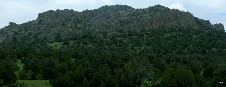 A view in Gila National Forest Typical view in the northwestern part of Gila National Forest