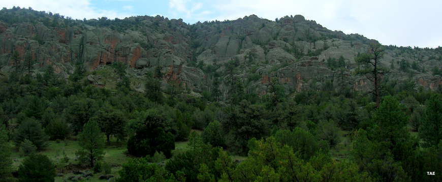 A view in Gila National Forest Looking uphill over the tree cover to a high rock buttress