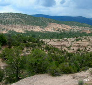 A view in Gila National Forest Looking out over a barren area in the northwestern part of the forest
