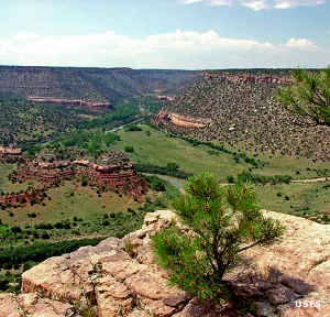 Kiowa National Grassland: The Canadian River Canyon The Canadian River Canyon west of Mills