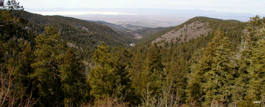 A view in Lincoln National Forest Lincoln National Forest
