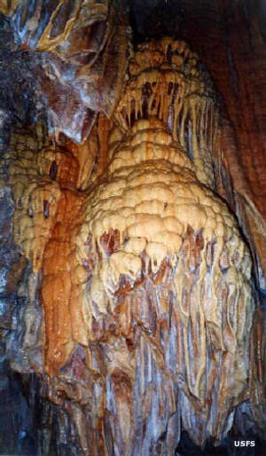 Lincoln National Forest: Inside Sitting Bull Cave A view of limestone draperies on a wall inside Sitting Bull Cave