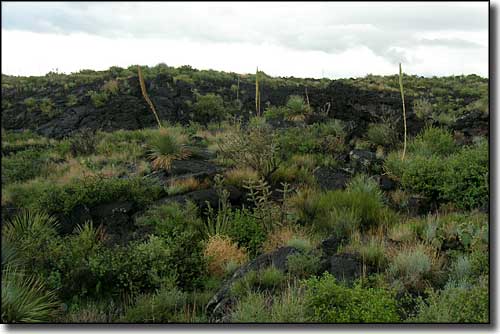 Valley of Fires Recreation Area: A lava flow on the property Lava at Valley of Fires