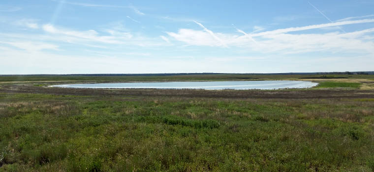 Las Vegas National Wildlife Refuge: View of wetlands from the overlook platform View from an observation platform at Las Vegas National Wildlife Refuge