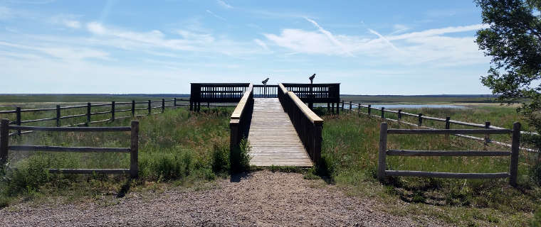 Las Vegas National Wildlife Refuge: View of one of the refuge observation platforms An observation platform at Las Vegas National Wildlife Refuge