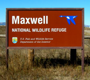 Sign marking Maxwell National Wildlife Refuge Maxwell National Wildlife Refuge