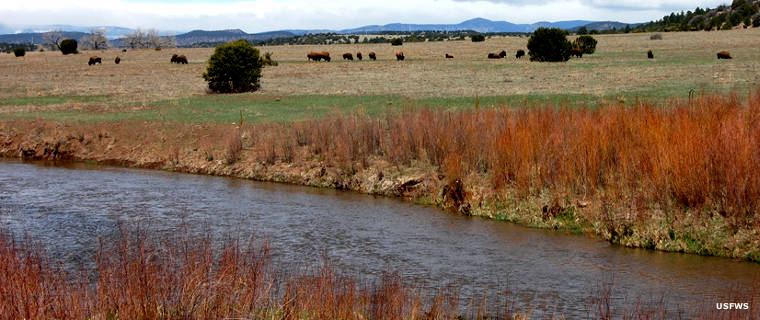 Rio Mora National Wildlife Refuge: A view in the prairie area A view in the prairie area of Rio Mora National Wildlife Refuge