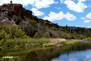Rio Mora National Wildlife Refuge: the Rio Mora canyon Rio Mora canyon