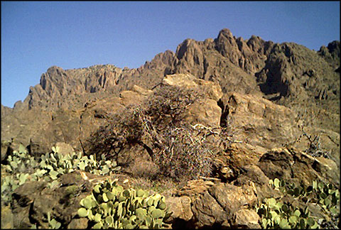 Florida Mountains, south of Deming, New Mexico