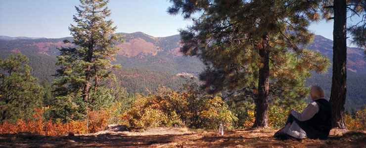 Jemez Mountain Trail: View from high in the Jemez Mountains A viewpoint high in the Jemez Mountains along the Jemez Mountain Trail
