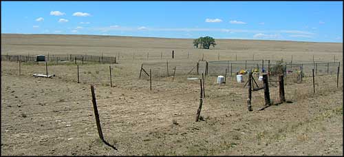 Pioneer cemetery on Kiowa National Grassland