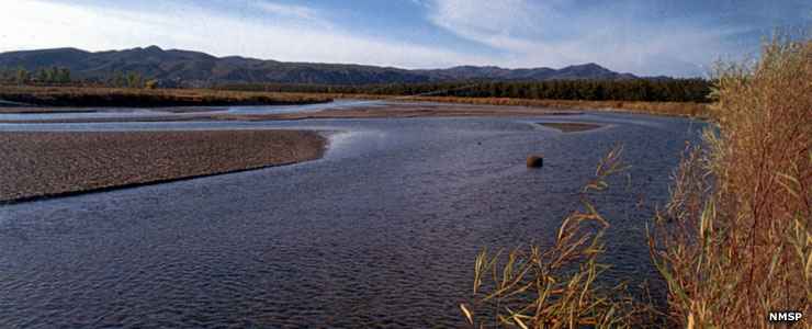 The Rio Grande flows across Mesilla Valley Bosque State Park