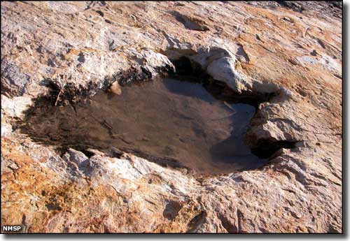 Clayton Lake State Park: View of a dinosaur track found on the property A dinosaur track at Clayton Lake State Park