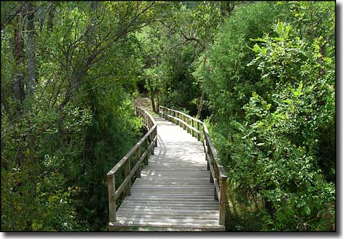 Sugarite State Park: The footbridge across Sugarite Creek Sugarite State Park
